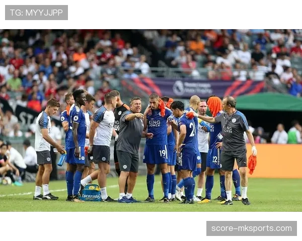 富勒姆重塑阵容聚焦青春力量,年轻球员崛起成新赛季关键 富勒姆重塑阵容聚焦青春力量,年轻球员崛起成新赛季关键